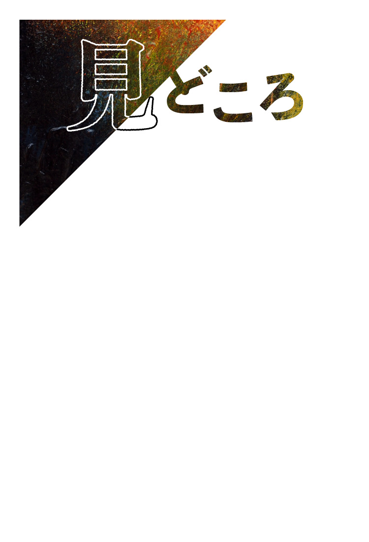 見どころ